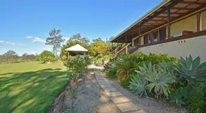 Tellace Wines Homestead - Image 5