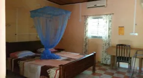 The Nest - Image 2