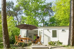 Tiny House Lijster Nunspeet Veluwe - Image 3