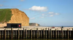 6 Driftwood - Image 5