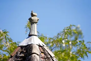 Le Pachot - Image 3