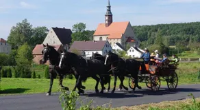 Studniska Horse Centrum - Image 5