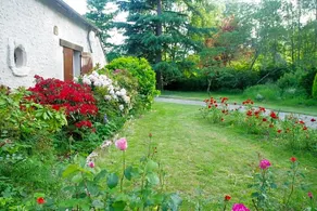 La Petite Marguerite - Image 2