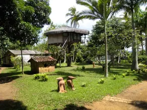 Pousada Arte na Mata - Image 5