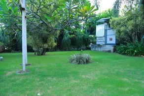 Cfaar - Image 3