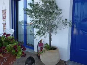Studios Avra - Image 2