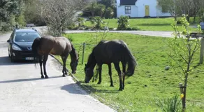 Letterfrack Farm Group House - Image 2