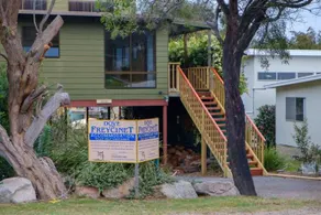 Dove On Freycinet - Image 5