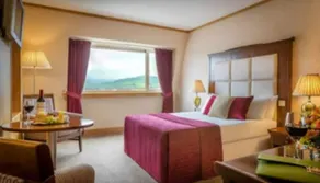 CLONMEL PARK HOTEL - Image 2