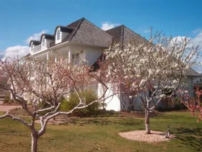 Bed And Breakfast: Unique - Image 5
