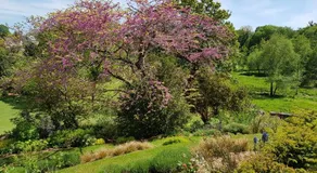 Villa Gaudin - Image 3