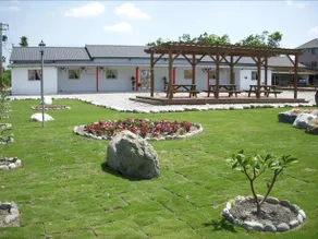 Sun Morning Fruit Farm - Image 1