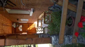 Adina - Image 4