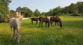 Oasis of Peace and Relaxation near Opatija - Image 2