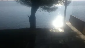 Sea And House - Image 5