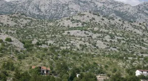 Camping Pinus - Image 4