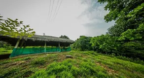 Aadhavana Homestay - Sakleshpur - Image 3