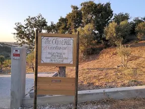 The Olive Hill Guesthouse - Image 3