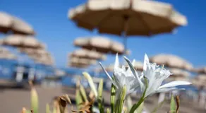Casa Ficulle - Image 2