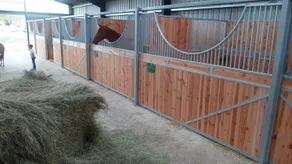 Haras de Saint Pierre - Image 4