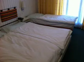 Hotel Alpina Airolo - Image 3
