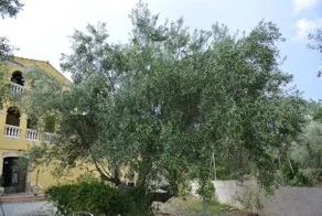 El Maset Del Garraf - Image 4