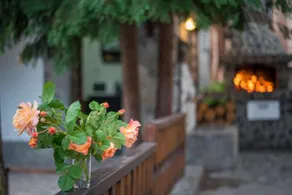 Guest House Via - Image 2