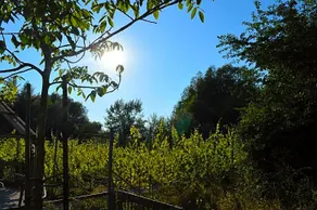 Natuurlijk Genieten - Image 3