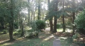 Caban Cwtch - Image 2