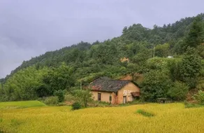 Dabie Mountain Longjinxia Homestay - Image 4