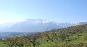 Casa Con Vista Holiday Rentals, Wisteria - Image 3