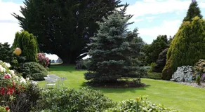 Highgrove - Image 3