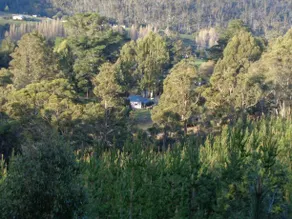 Post House Cottage - Image 2