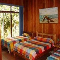Turrialtico Lodge - Image 2