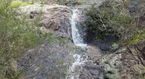 Didgy Ridge - Image 3