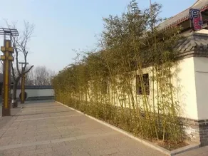 Qinseyuan Inn - Image 3