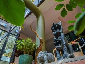 Qinglu Shangzhai Art Hotel - Image 4