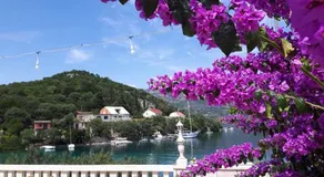 Apartments Villa Baric - Image 4