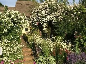 Thatched Cottage - Image 4