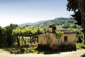 Podere Santa Maria - Image 5