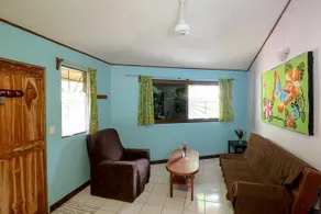 The Buena Vibra Collective - Image 3