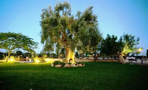 Masseria Torre Catena - Image 2