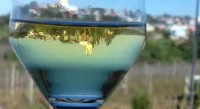 Belo Vale - Image 2