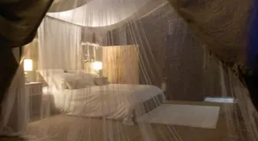 Bô Zen - Image 3