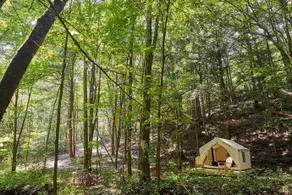 Tentrr - Huntley Hollow Brook - Image 1