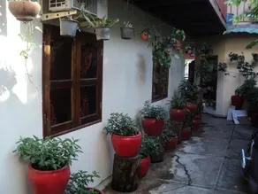 Snookys Guest House Garden Bar and Restaurant - Image 2