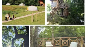 Cabane Nid Du Centre Unisvers - Image 2