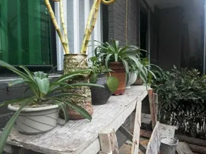 Jingdezhen Daziran Youth Hostel - Image 3