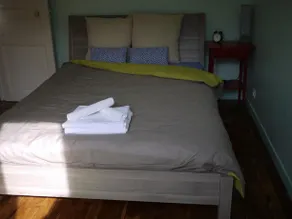 Pikachu House - Image 4