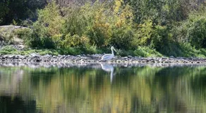 Woodlands Fishin Resort - Image 4